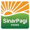 PT Sinar Pagi Foods