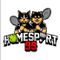 Homesport99