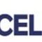 PT LKG Celltech Indonesia