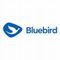 Bluebird Pool Kodau
