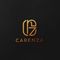 Carenza Scarves