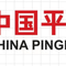 CHINA PINGMEI SHENMA HOLDING GROUP CO LTD