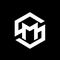SM Capital Holdings