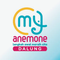 ANEMONE DALUNG