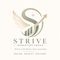 Strive Marketing Group