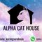Alpha Petshop