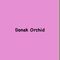 Donak Orchid