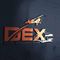 PT Dex Autosport Expert
