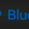 PT. Lintas Buana Taksi (A Member of Bluebird Group)