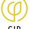CID Studio
