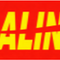 PT DALIANG PLASTIC TECHNOLOGY
