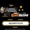 aquarix pilox