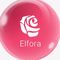 Elfora (PT Nutrilab Innovate Care)