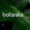 Botanika Coffee & Goodness