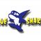 CV BLUESHARK INDONESIA