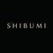 PT Shibumi Hospitaliti Internasional