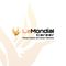 PT. Lentera Mondial Karier