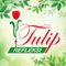 Tulip Refleksi Purwokerto