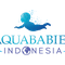 PT. AQUA BABIES INDONESIA