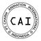 PT Charm Animation International