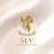 SLV Aesthetic Clinic