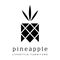PT. Pineapple Creative Studio