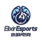 ElixirEsports