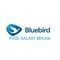 Bluebird