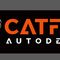 Catfish Auto Detail