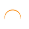 Solutionariez