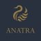 Anatra Coffee & Kitchen