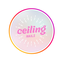 Ceiling Nails