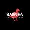 Balinea Holiday Homes