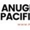 PT. Anugerah Pacific International