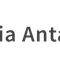 PT. MEDIA ANTAR NUSA