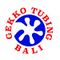 Gekko Tubing Bali