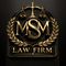 MSM Group