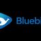 PT Central Naga Europindo (Bluebird BSD Group)