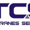 Tavi Cranes Services