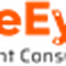 EagleEyes Management Consultancy Pte Ltd