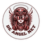 De Angel Net