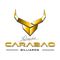 Carabao Corporation