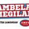 SMPL Group