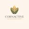 CORNACTIVE