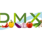 PT. DMX trading Indonesia