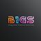 BIGS Group