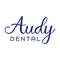 PT Audy Mandiri Indonesia