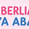 PT. Berlian Jaya Abadi