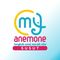 Anemone Susut