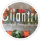 Cilantro Restaurant